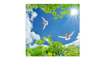 Натяжной потолок: Натяжной потолок 3D потолки, Глянцевое, Матовое Монтаж, Гарантия, Демонтаж — 4