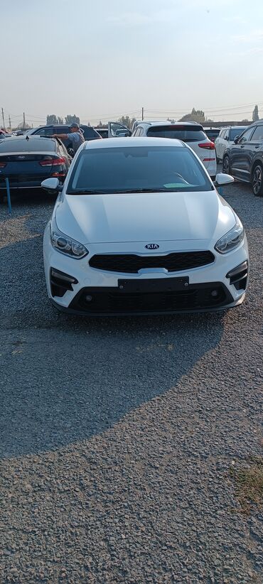 ключ для авто: Kia K3: 2019 г., 1.6 л, Автомат, Бензин, Седан