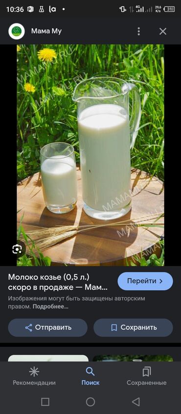 сухое молоко для животных: Продается козье молоко