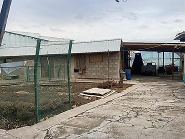 Продажа коттеджей и домов: Продаётся тёплый, светлый кирпичный дом в тихом районе села Ивановка — 17