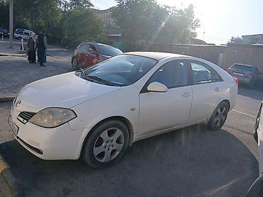 нисана: Nissan Primera: 2005 г., 2 л, Автомат, Бензин, Седан — 2