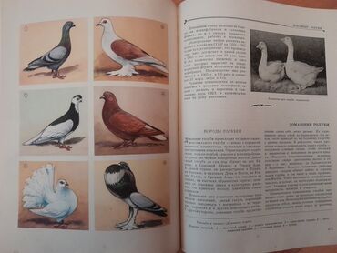 Ensiklopediyalar: Книги "Детская энциклопедия". 8 томов. Чтобы посмотреть все мои — 5