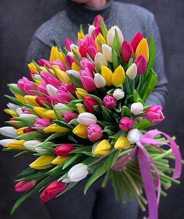 Цветы и букеты: 🌷 Букеты из голландских тюльпанов к 8 Марта! 🌷 Свежие, нежные at lalafo.kg — 14 Цветы и букеты: 🌷 Букеты из голландских тюльпанов к 8 Марта! 🌷 Свежие, нежные — 14