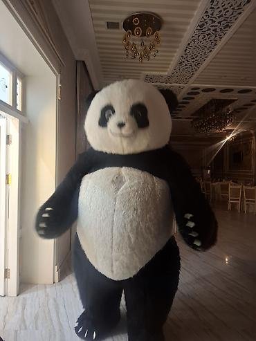 Tədbirlərin təşkili: Böyük ölçülü panda maskotu – tədbirlər və fotoşəkillər üçün ideal! - — 1