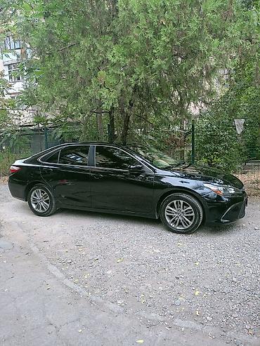 куплю масло отработку: Toyota Camry: 2017 г., 2.5 л, Автомат, Бензин, Седан — 4