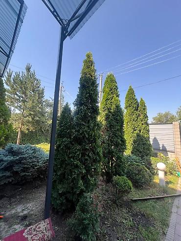 особняк ош: 🏡 Продается эксклюзивный особняк рядом с парком Ынтымак Дом — 5