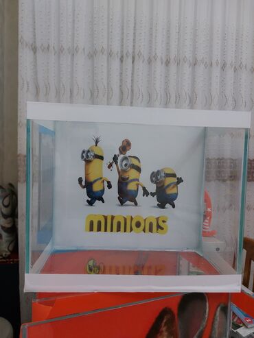 Akvariumlar: Məhsul: Dekorativ şüşə akvariumlar (uşaq tematikası) Təsvir: - — 5