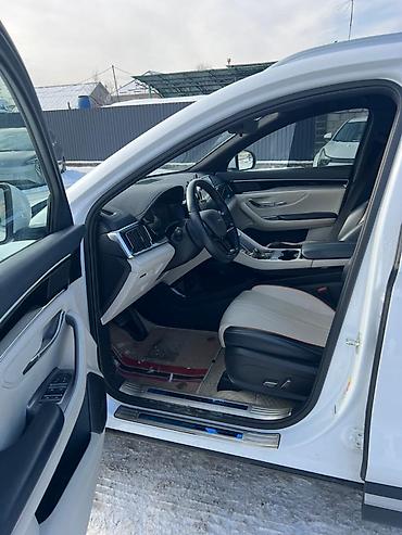 BYD: BYD Song Plus: 2024 г., Электромобиль, Кроссовер — 8