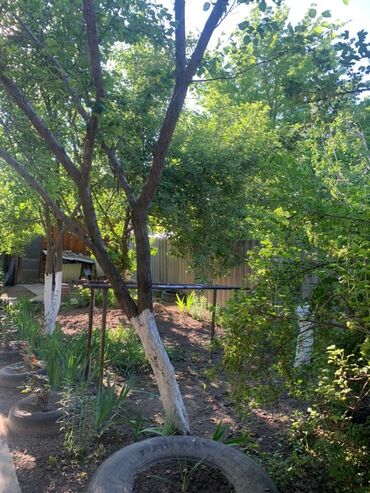 Канцтовары: Продаём хорошую недвижимость сами хозяева в городе!!! Больше фото at lalafo.kg — 25 Канцтовары: Продаём хорошую недвижимость сами хозяева в городе!!! Больше фото — 25