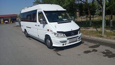 Sərnişin daşımaları: Avtobus, Bakı - — 12