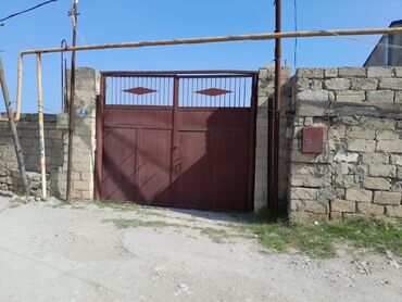 арендовать квартиру в баку: Kənd təsərrüfatı