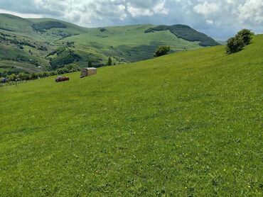 Torpaq sahələrinin satışı: 50 sot, Mülkiyyətçi, Kupça (Çıxarış) — 2