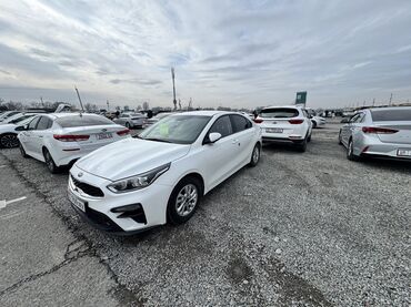 Kia: Kia K3: 2020 г., 1.6 л, Автомат, Бензин, Седан — 1