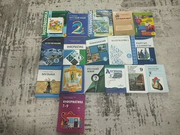 сумка для школы 8 класс: Книги 1-9 по 200, 1-4 класса по 100, они уже немного старые, а 6-9