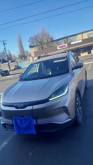 Weltmeister: Weltmeister EX5, 2020 г. — 9