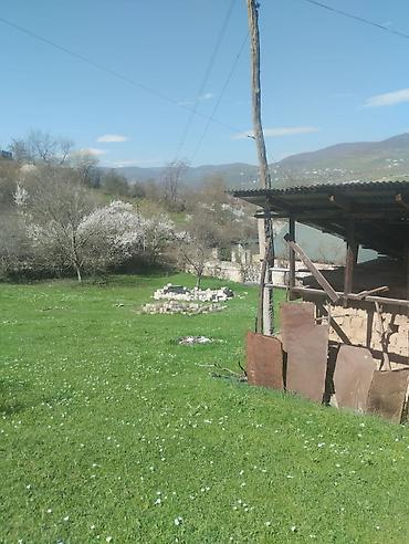 kiraye ile satilan evler: Dağ mənzərəli torpaq sahəsi və köhnə tikili - Geniş yaşıllıqla — 10
