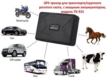 GPS навигаторы: GPS-трекер tkstar TK-915 с большим аккумулятором ёмкостью 10000mAh