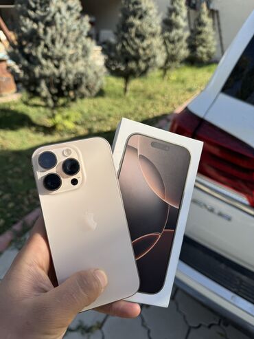 ротар: IPhone 16 Pro, Б/у, 256 ГБ, Desert Titanium, 93 %