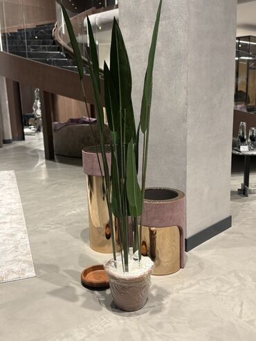 Süni güllər: Dekorativ süni ağaclar dəsti - Model 1: Varlıqlı yarpaqlı dekorativ — 23