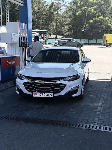 шевролет малюби: Chevrolet Malibu: 2019 г., 1.5 л, Автомат, Бензин, Седан — 2