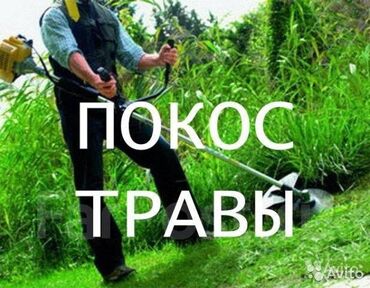 тамада бишкек: Покос травы любых объемов. Стрижка кустов. По Бишкеку. Покос травы и
