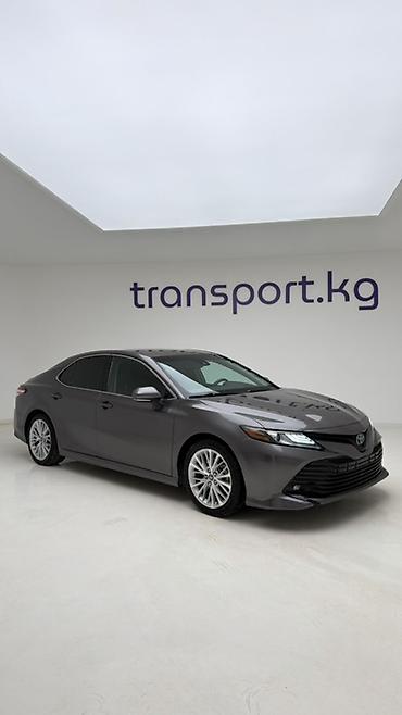 Toyota: Toyota Camry: 2019 г., 2.5 л, Вариатор, Гибрид, Седан — 2