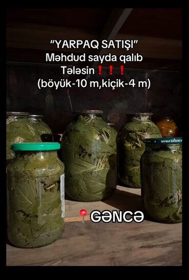 Süd məhsulları və yumurtalar: Yarpaq, üzüm yarpağı