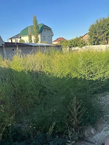старый талчок: 8 соток, Красная книга — 1