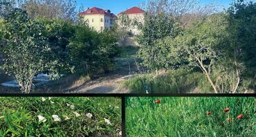 Bağ evlərinin satışı: Sumqayıt, 150 kv. m, 5 otaqlı, Hovuzlu, Kanalizasiya, Qaz, Su — 13