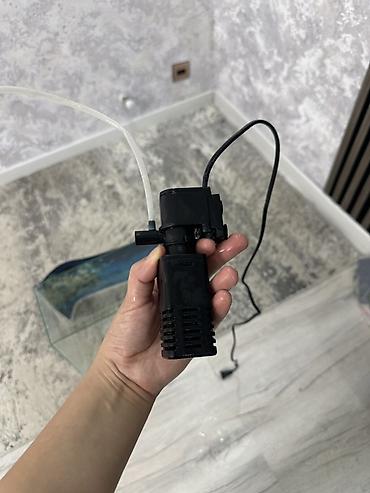 it yuvası satilir: Akvaryum desti içinde olanlar led işığı matoru bezek daşları arxasının — 3