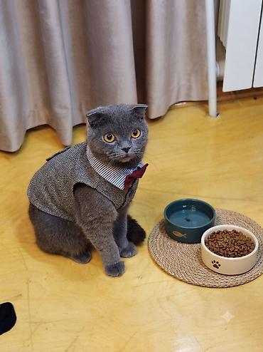 akvarium qiymetleri: Fikri cidi olanlar yigsin vp aktivdi — 1