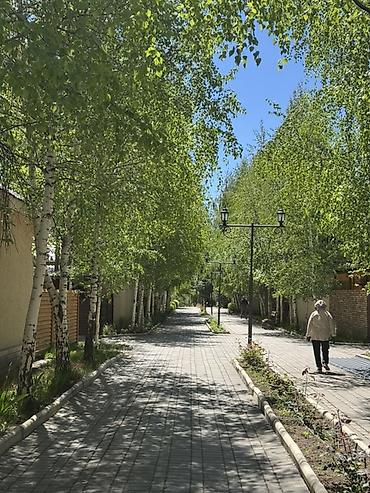 Посуточная аренда квартир: Коттедж в пансионате «Лагуна», с. Кожояр 👨‍👩‍👧‍👦 6 человек 💵 150$ в — 8