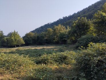 Torpaq sahələrinin satışı: Oguz Rayon Xalxal kendinde 49 sot torpaq satilir bagda qoz zogal -da lalafo.az — 2 Torpaq sahələrinin satışı: Oguz Rayon Xalxal kendinde 49 sot torpaq satilir bagda qoz zogal — 2