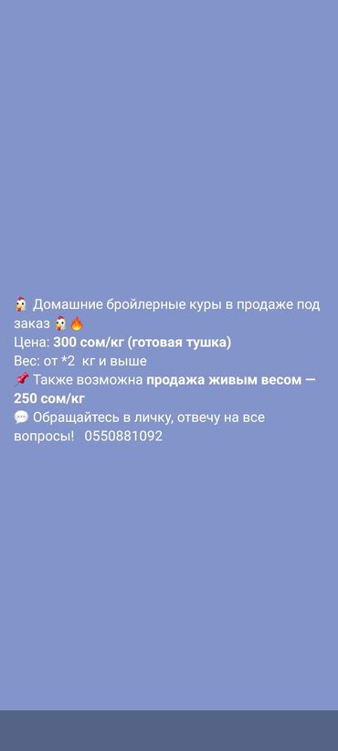 трафареты для рисования животных: Продаю курей