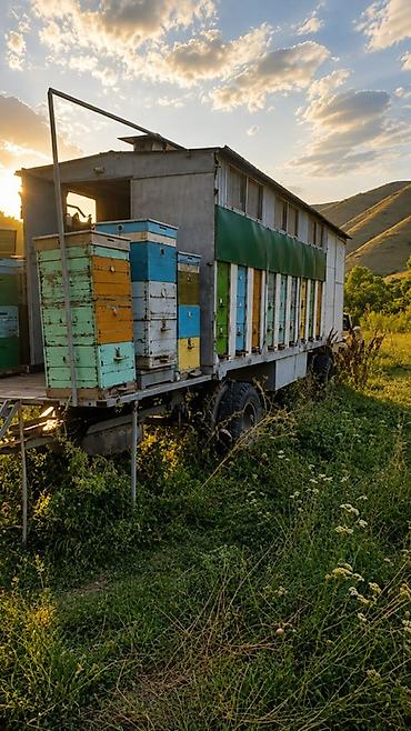 с поролон: 🍯 НАТУРАЛЬНЫЙ МЁД ОПТОМ ОТ ПАСЕЧНИКА 🐝 Продаём натуральный мёд с — 2