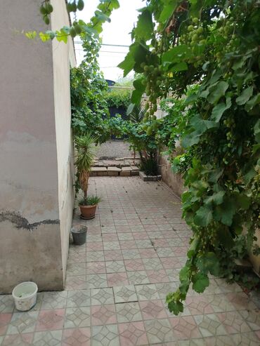 Həyət evləri və villaların satışı: Biləcəri 4 otaqlı, 2000 kv. m, Kredit yoxdur, Orta təmir — 20