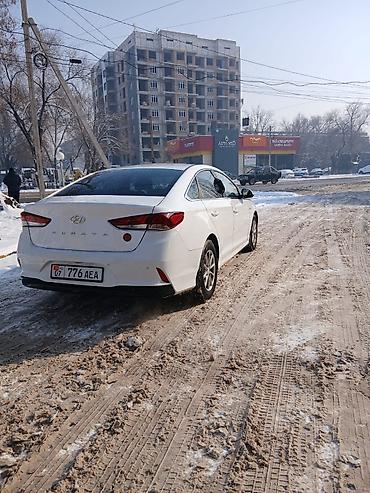 Hyundai: Hyundai Sonata: 2020 г., 2 л, Автомат, Газ, Седан — 9