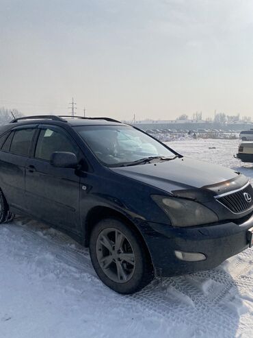 Lexus: Lexus RX: 2004 г., 3 л, Автомат, Газ