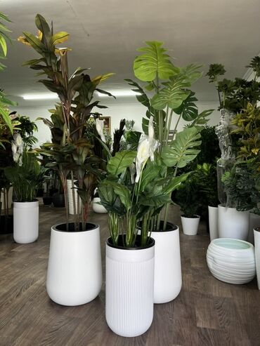 Декоративные цветы: Искусственные деревья — это идеальное решение для оформления интерьера at lalafo.kg — 11 Декоративные цветы: Искусственные деревья — это идеальное решение для оформления интерьера — 11