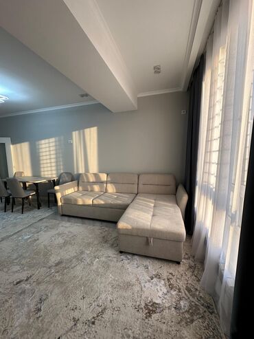 снять квартиру в частном секторе: 2 комнаты, 55 м², Элитка, 12 этаж, Евроремонт