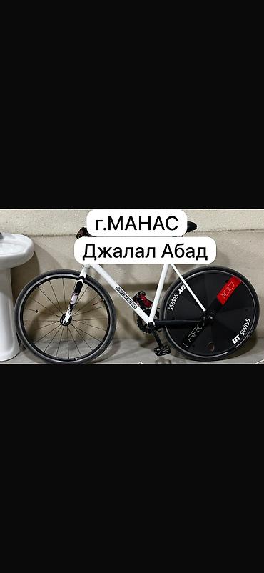 ремонт биноклей: Шоссейный велосипед, Specialized, Рама L (172 - 185 см), Б/у — 1
