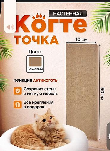 игрушки кошек: Набор для кота: наполнитель, когтеточка и игрушки 1) Наполнитель для — 3