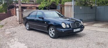 210 полик: Mercedes-Benz