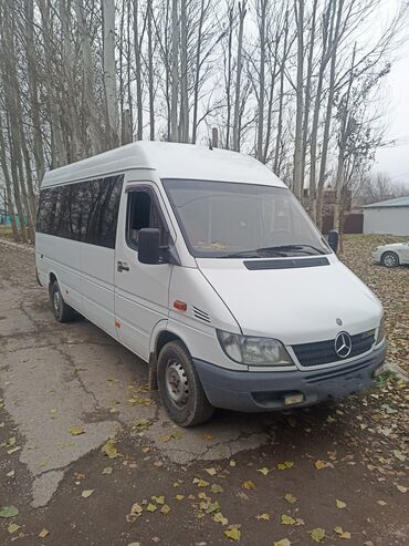 авто за 4000: Mercedes-Benz : 2003 г., 2.9 л, Механика, Дизель, Бус