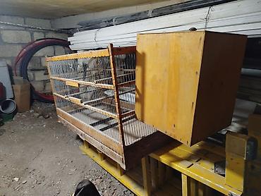 dovşan ucun qəfəs: Taxta quş qəfəsi və yuvalama qutusu dəsti - Material: möhkəm taxta — 2