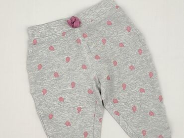 pit bull spodnie: Legginsy, 12-18 miesięcy, stan - Idealny