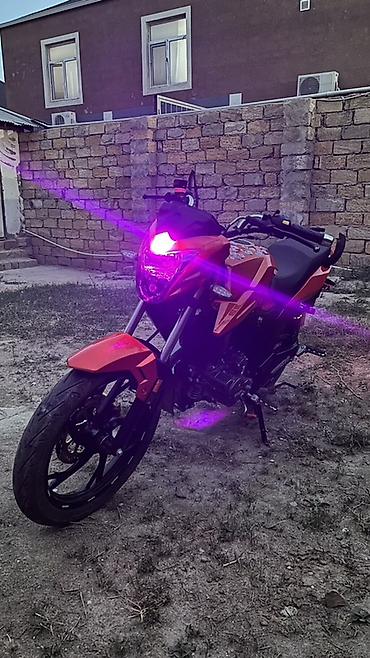 eylec: Tufan - s150, 150 sm3, 8000 km — 2