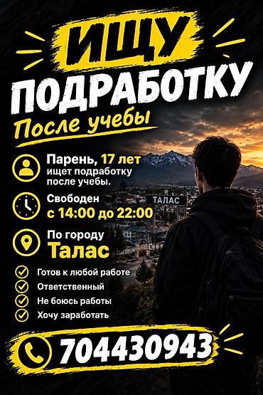 Услуга: помощь/подработка после учёбы - Исполнитель: парень, 17 лет -