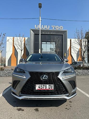 Lexus: Lexus NX: 2019 г., 2 л, Автомат, Бензин, Кроссовер — 8