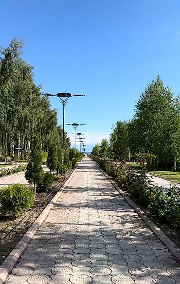 Аренда квартир на Иссык-Куле: Аренда квартиры на Иссык-Куле, Asia Palace, Сары-Ой, 6 мест, Цена Целиком за жилье — 16